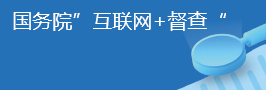 國(guó)務(wù)院互聯(lián)網(wǎng)+督查